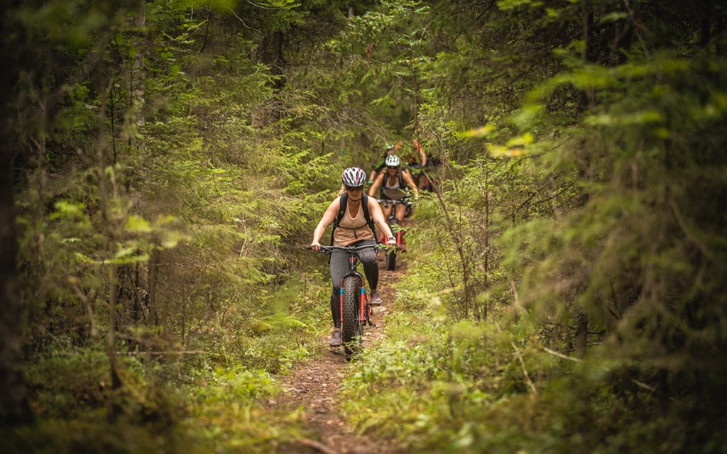 plusieurs personnes sur des fat bikes dans un sentier étroit