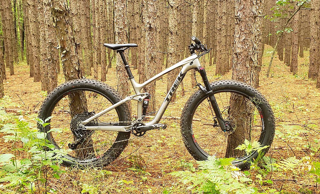 un vélos à pneus surdimensionnés accoté sur deux arbres dans le bois